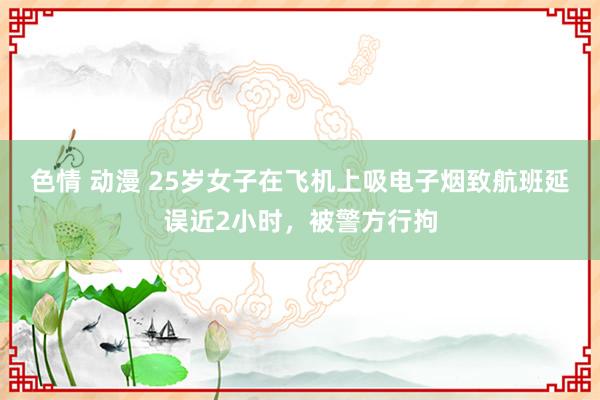 色情 动漫 25岁女子在飞机上吸电子烟致航班延误近2小时，被警方行拘