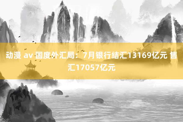 动漫 av 国度外汇局：7月银行结汇13169亿元 售汇17057亿元