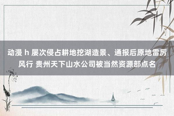 动漫 h 屡次侵占耕地挖湖造景、通报后原地雷厉风行 贵州天下山水公司被当然资源部点名