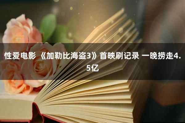 性爱电影 《加勒比海盗3》首映刷记录 一晚捞走4.5亿